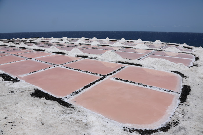 La Palma, Salinas de Fuencaliente, Salzbecken, rosa bzw. rote Färbung - mittelmeer-reise-und-meer.de