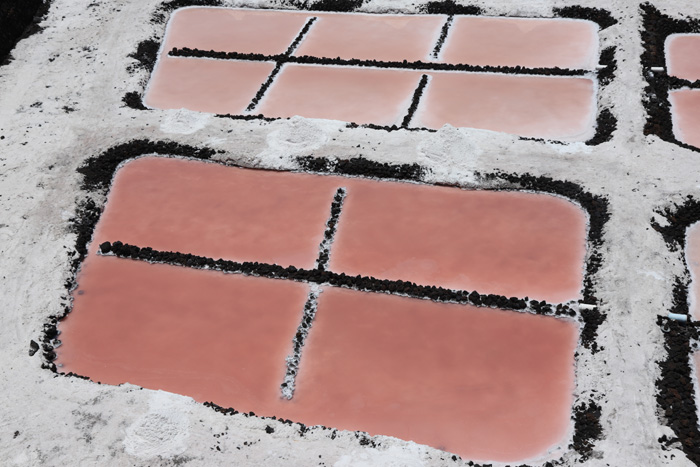 La Palma, Salinas de Fuencaliente, Salzbecken, rosa bzw. rote Färbung - mittelmeer-reise-und-meer.de