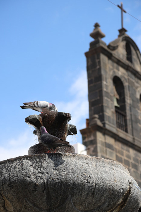 La Palma, Santa Cruz de La Palma, Plaza de San Francisco - mittelmeer-reise-und-meer.de