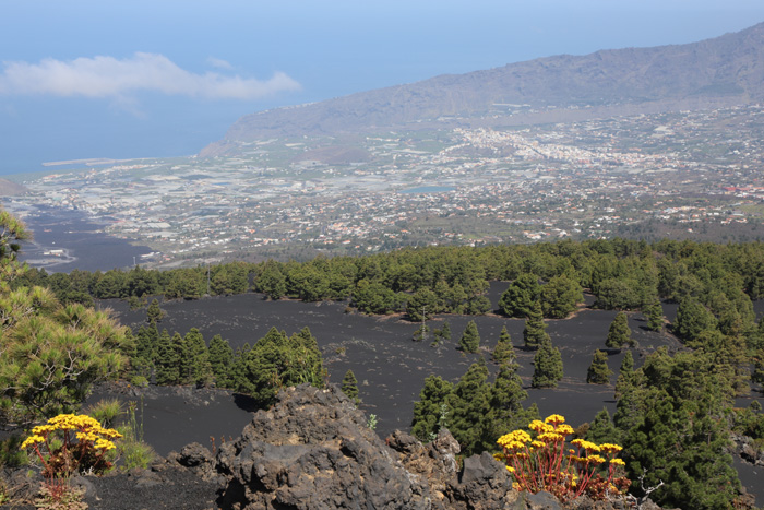 La Palma, Volcán de Tajogaite, Mirador Volcán de Tajogaite, Los Llanos, El Paso - mittelmeer-reise-und-meer.de