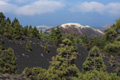 Mirador Volcán de Tajogaite, Vulkan von oben, Volcán de Tajogaite, La Palma