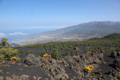 Mirador Volcán de Tajogaite, Los Llanos, El Paso, Volcán de Tajogaite, La Palma