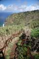 Achadas da Cruz, Seilbahn, Fußweg zur Talstation, Madeira