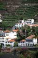 Camara de Lobos, Bananenplantage, Madeira