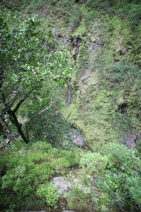 Madeira, Rabacal, Zur Levada das 25 Fontes - mittelmeer-reise-und-meer.de