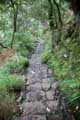 Zur Levada das 25 Fontes, Rabacal, Madeira