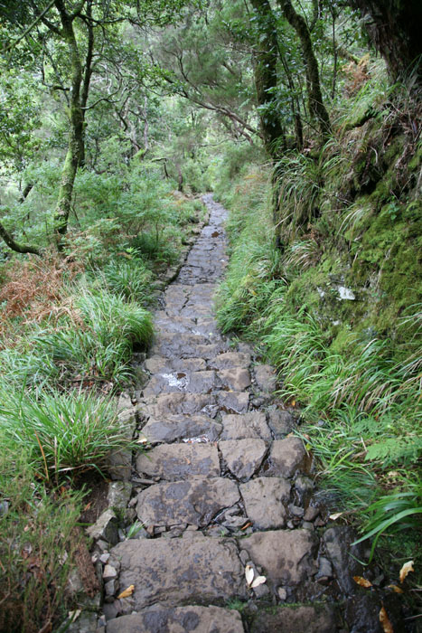 Madeira, Rabacal, Zur Levada das 25 Fontes - mittelmeer-reise-und-meer.de