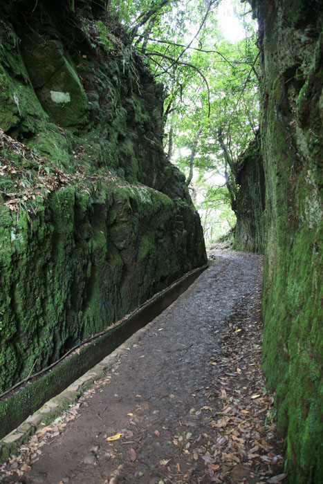 Madeira, Ribeiro Frio, Balcoes, Miradouro Balcoes, Wanderweg von Ribeiro Frio - mittelmeer-reise-und-meer.de