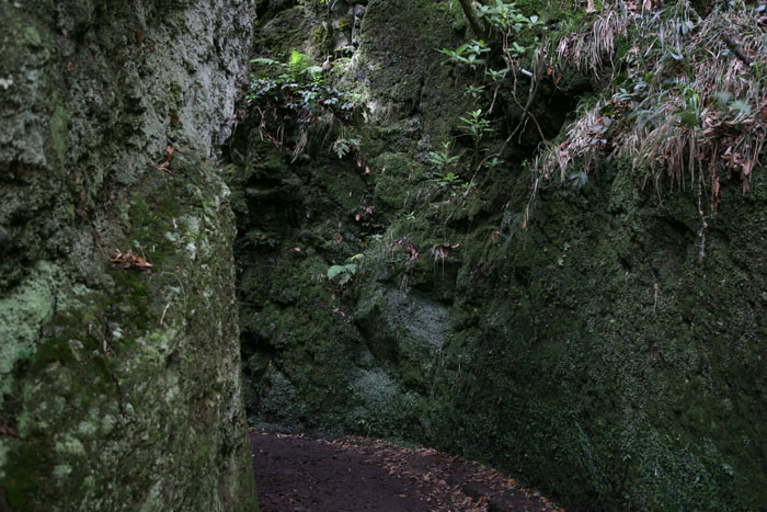 Madeira, Ribeiro Frio, Balcoes, Wanderweg zur Levada und zum Miradouro Balcoes - mittelmeer-reise-und-meer.de