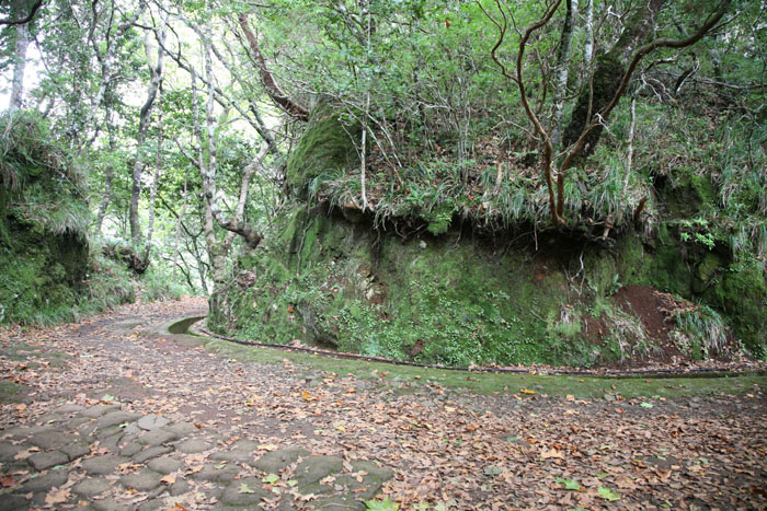 Madeira, Ribeiro Frio, Balcoes, Miradouro Balcoes, Wanderweg von Ribeiro Frio - mittelmeer-reise-und-meer.de