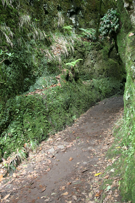 Madeira, Ribeiro Frio, Balcoes, Wanderweg zur Levada und zum Miradouro Balcoes - mittelmeer-reise-und-meer.de