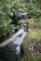 Ribeiro Frio, Balcoes, Wanderweg zur Levada und zum Miradouro Balcoes, Madeira