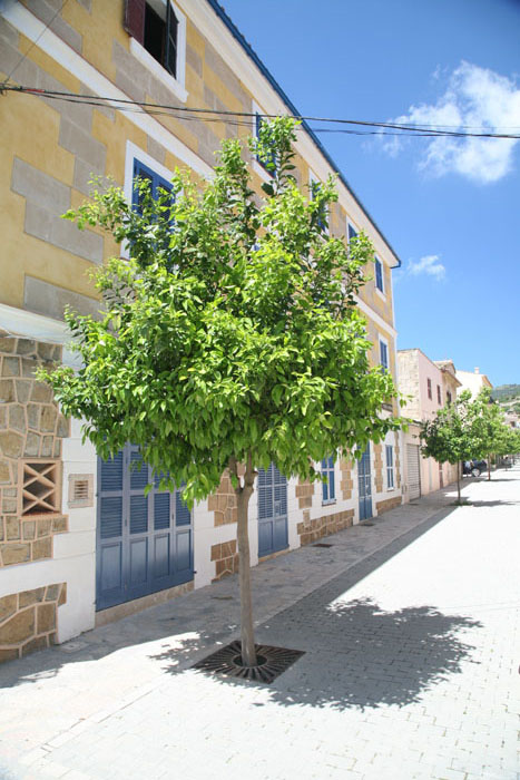 Mallorca, Andratx, Avendia Juan Carlosi, Carrer de sa Constitucio - mittelmeer-reise-und-meer.de