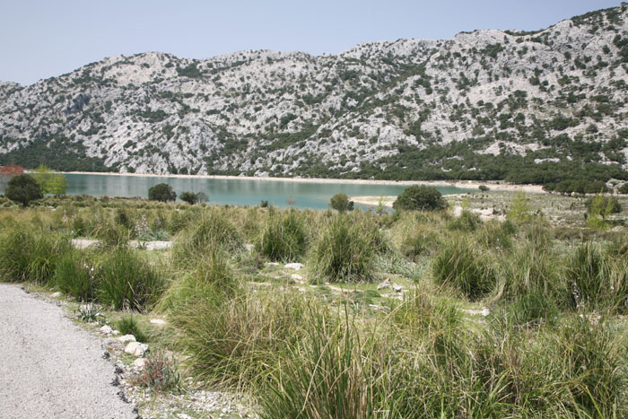 Mallorca, Ma-10, Traumstraße von Mallorca, Embalse de Cuber - mittelmeer-reise-und-meer.de