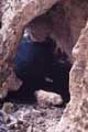 Blaue Grotte, Blick von oben in eine Höhle, Malta