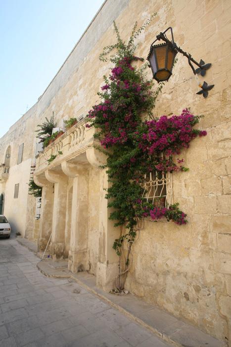 Malta, Mdina, Triq L-Imhazen, Triq Inguanez - mittelmeer-reise-und-meer.de