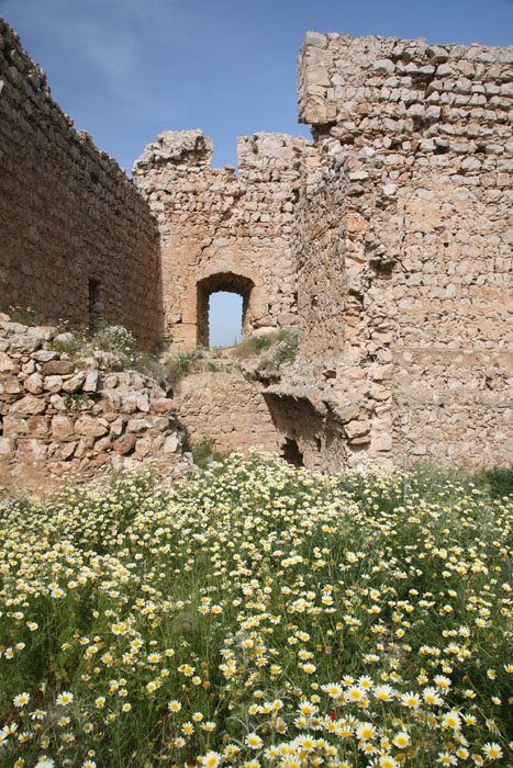 Rhodos, Kastell Kritinia, Eingang, Verteidigungswall, Wilde Blumen - mittelmeer-reise-und-meer.de