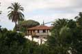 Ruine im Park Drago Milenio, Drachenbaum, Icod de los Vinos, Teneriffa