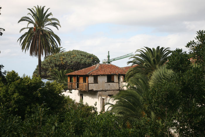 Teneriffa, Icod de los Vinos, Ruine im Park Drago Milenio, Drachenbaum - mittelmeer-reise-und-meer.de