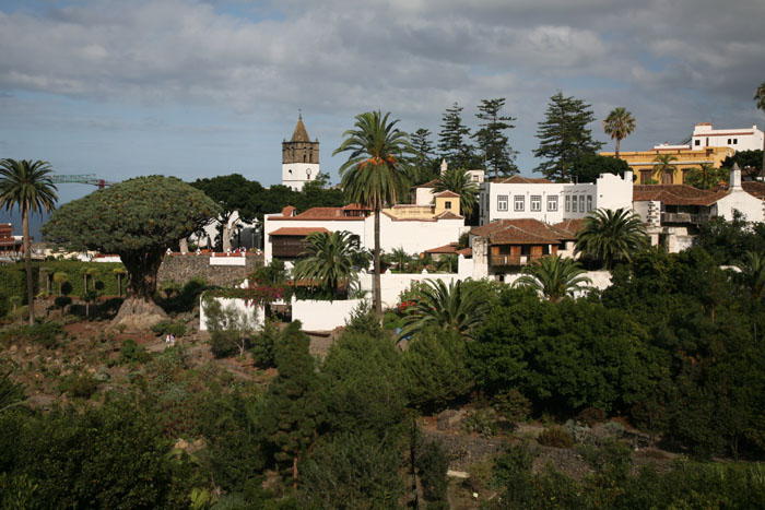 Teneriffa, Icod de los Vinos, Drachenbaum Drago Milenio - mittelmeer-reise-und-meer.de