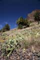 Blick zur Carretera de las Portelas, der TF-436, Masca, Teneriffa