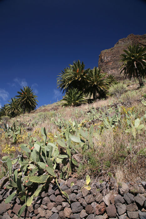 Teneriffa, Masca, Blick zur Carretera de las Portelas, der TF-436 - mittelmeer-reise-und-meer.de