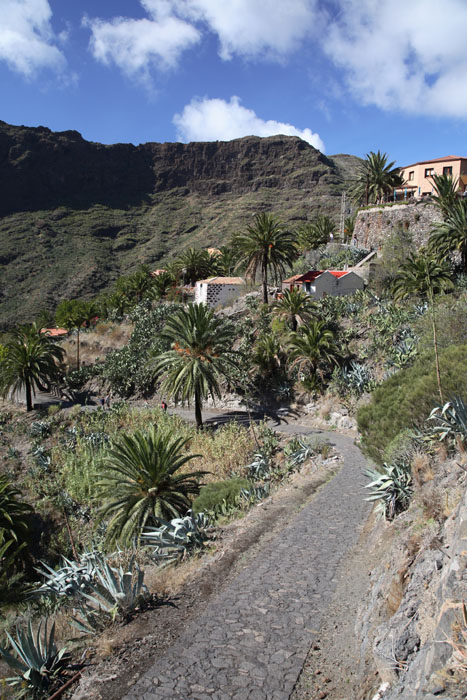 Teneriffa, Masca, Zentrum, Calle del Lomo de Masca - mittelmeer-reise-und-meer.de