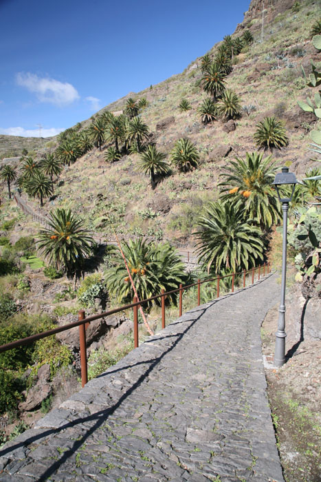 Teneriffa, Masca, Calle del Lomo de Masca - mittelmeer-reise-und-meer.de