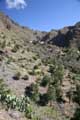 Masca, Panorama südöstlicher Teil, Teneriffa