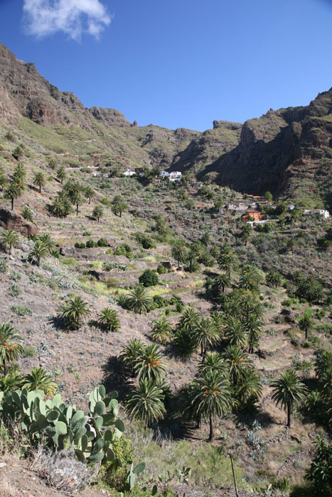 Teneriffa, Masca, Panorama südöstlicher Teil - mittelmeer-reise-und-meer.de