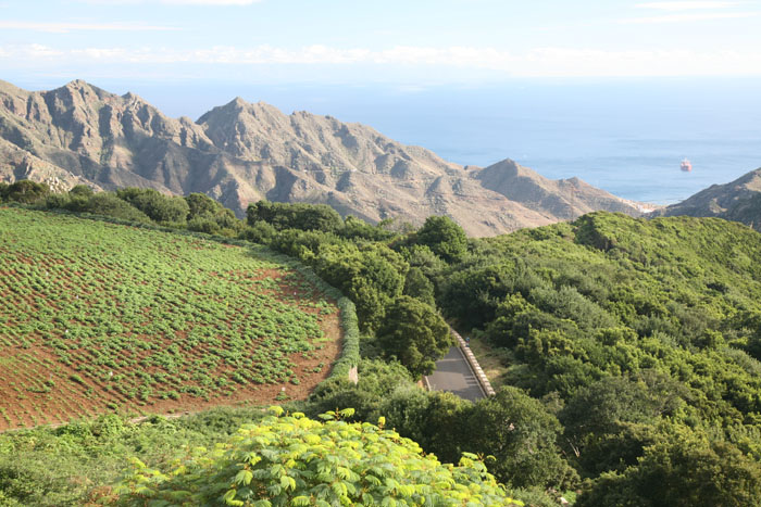 Teneriffa, TF-12, km 11 kurz vor El Bailadero - mittelmeer-reise-und-meer.de