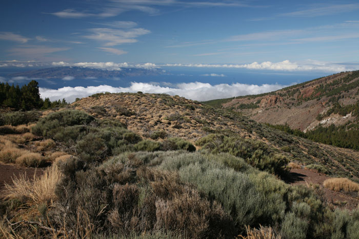 Teneriffa, TF-21, Panorama auf La Gomera - mittelmeer-reise-und-meer.de