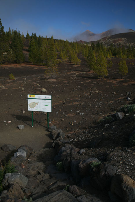 Teneriffa, TF-38, km 16, Blick Pico del Teide - mittelmeer-reise-und-meer.de